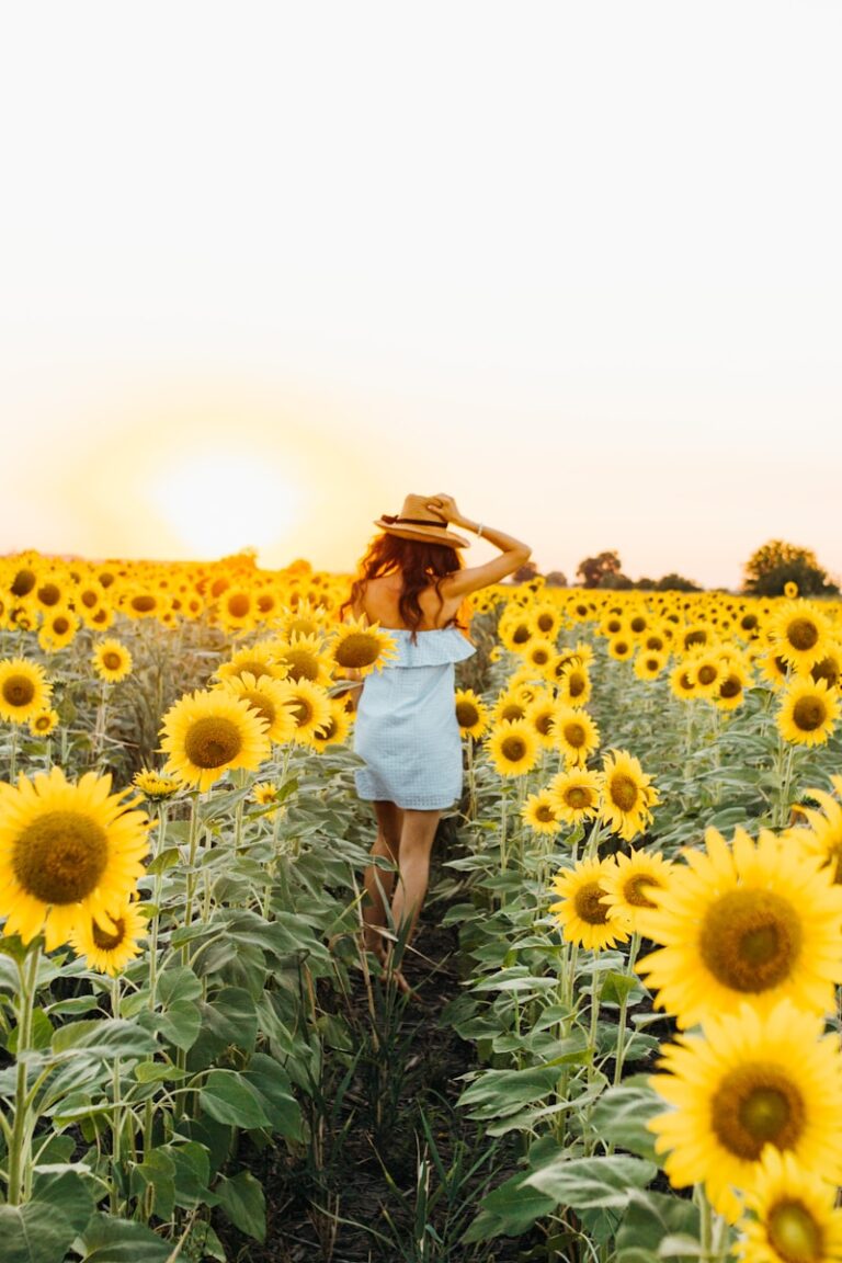 Happiness is less clutter