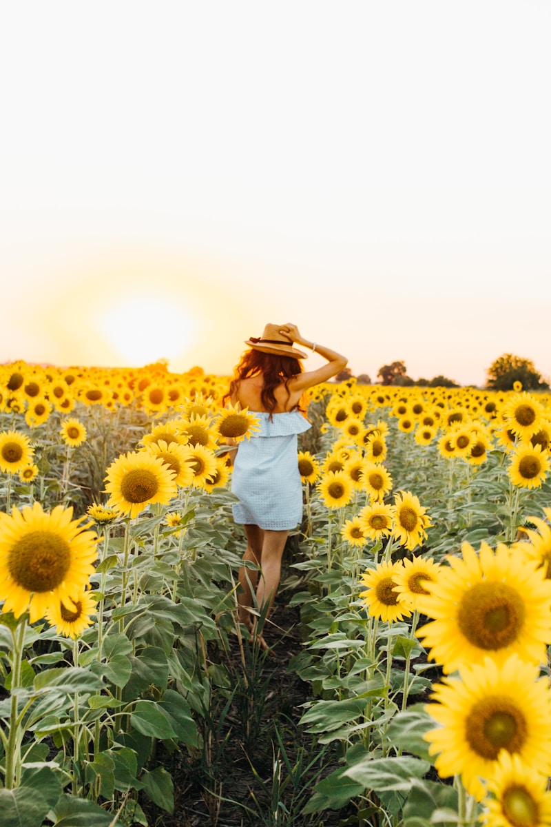 Happiness is less clutter