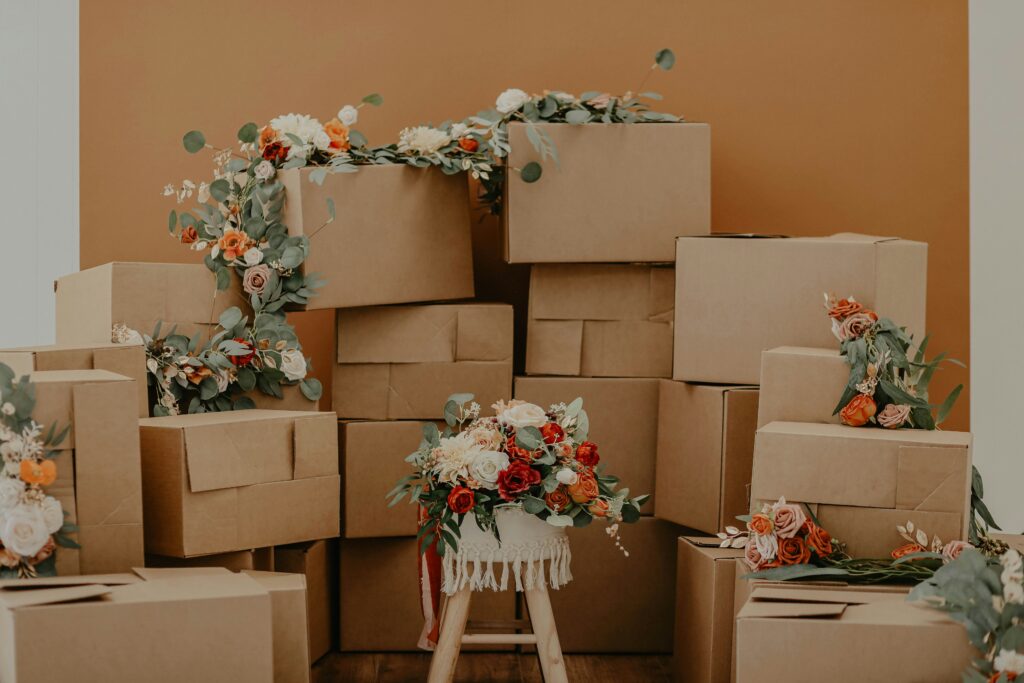 Organized boxes