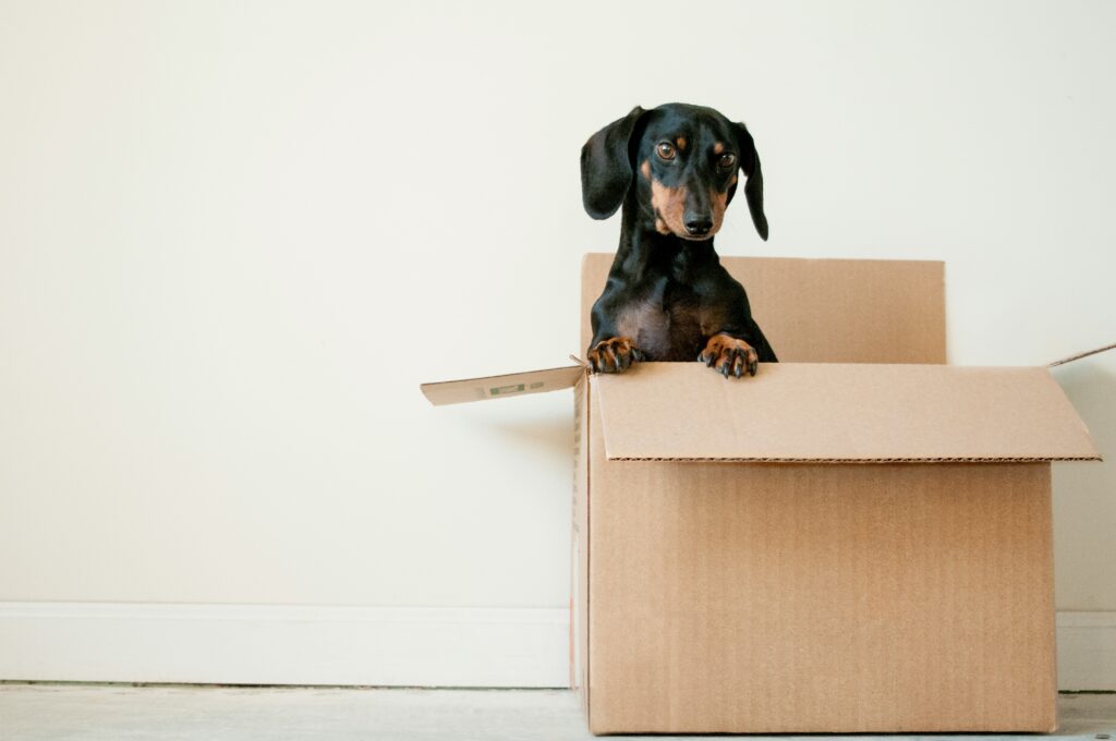 Decluttering box