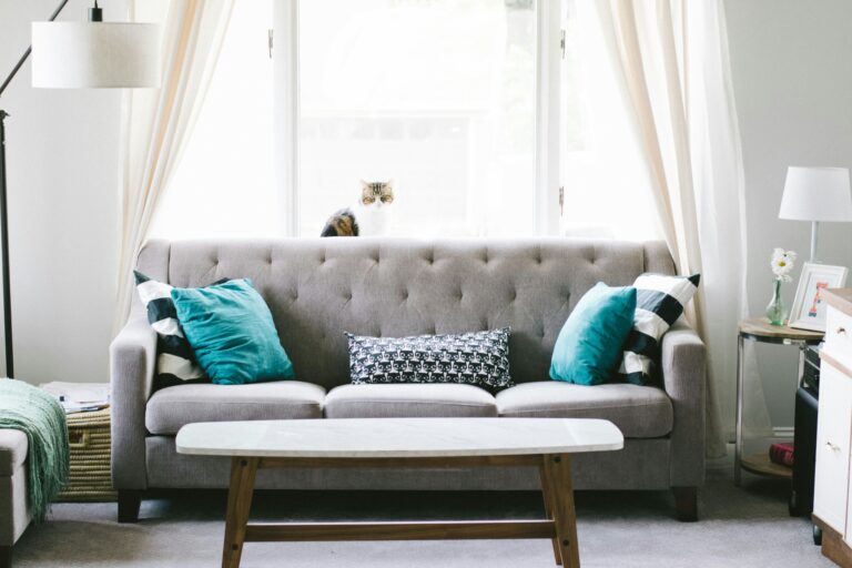 Organized decluttered living room