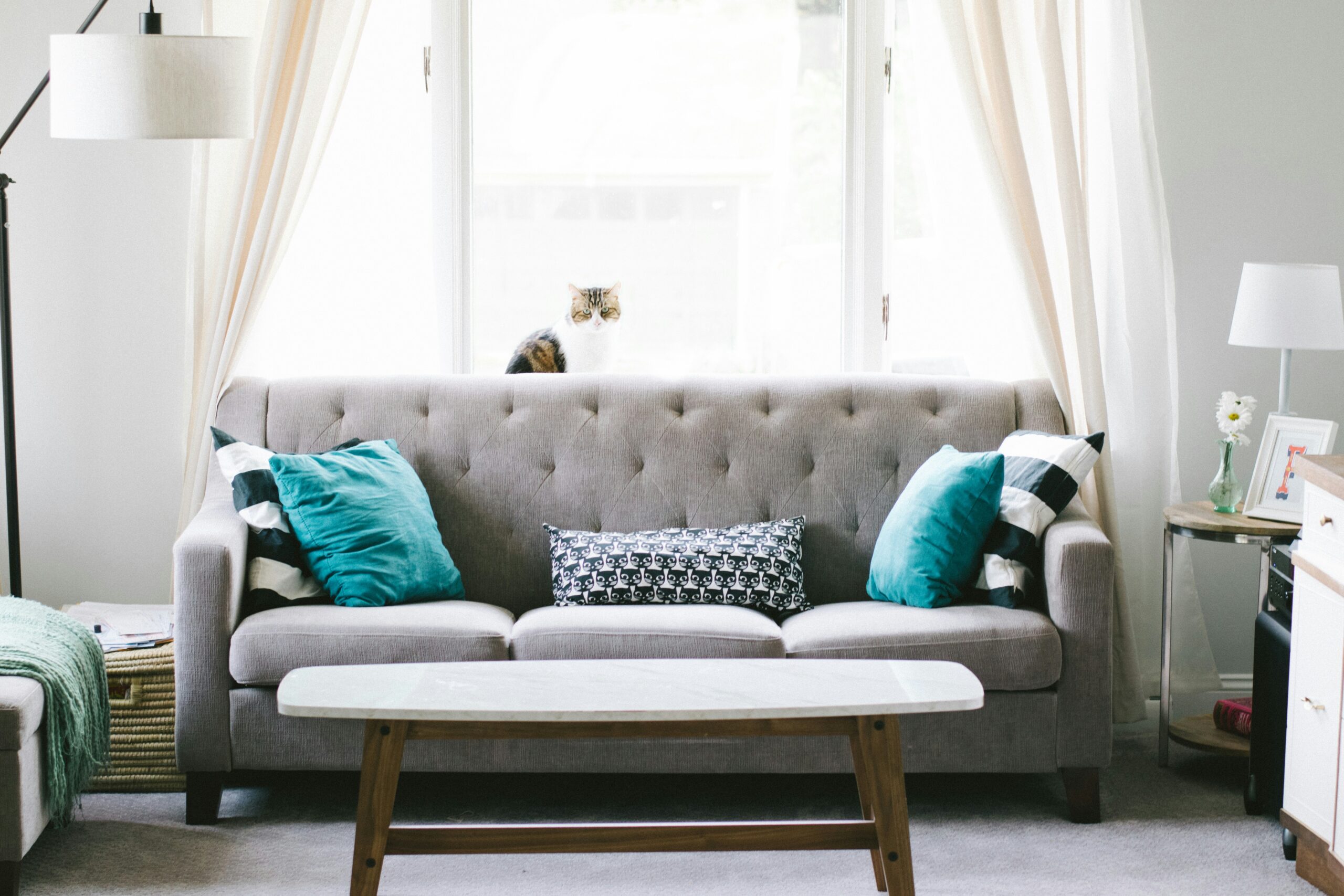 Organized decluttered living room