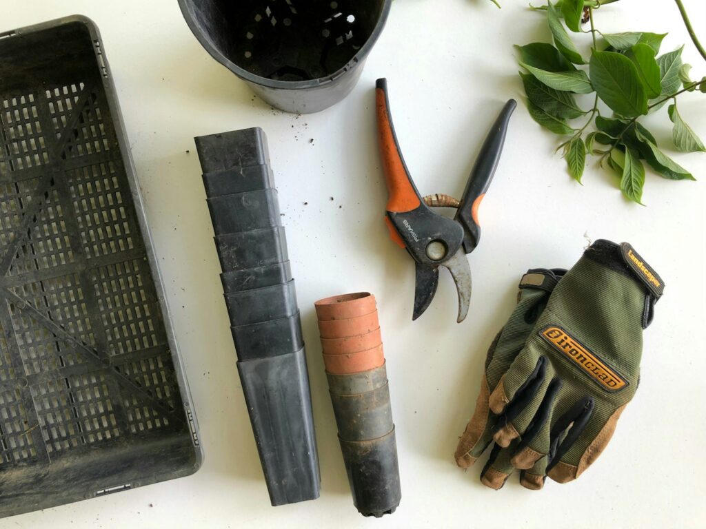 Gardening items order and more