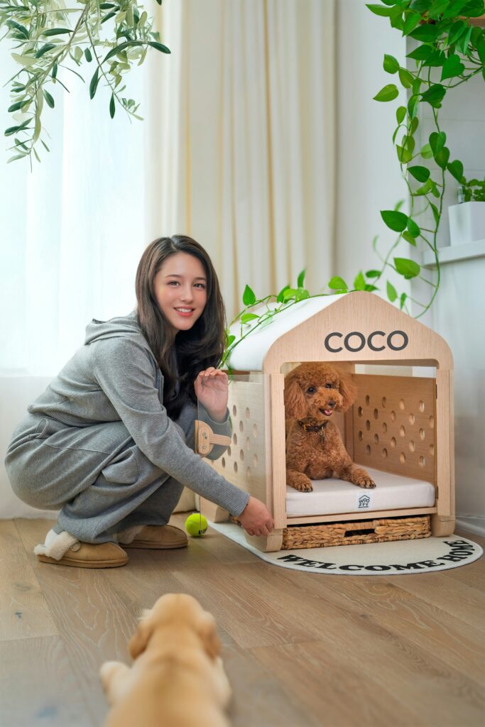 Organized Dog station