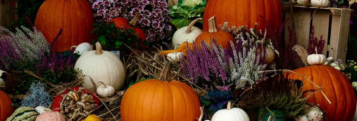 Fall decor and pumpkins